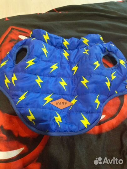 Вещи для маленьких собачек