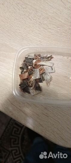 Красноухая черепаха