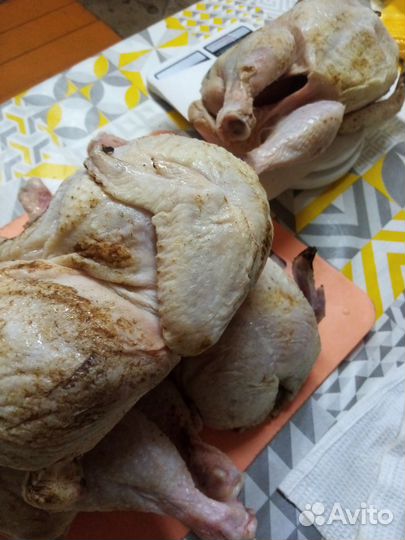 Тушка курицы домашней