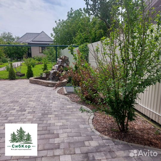 Кора лиственницы