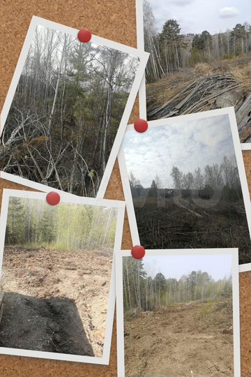 Участок 9,8 сот. (СНТ, ДНП)