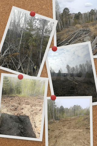 Участок 9,8 сот. (СНТ, ДНП)