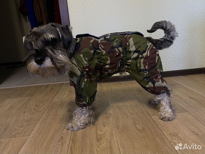 Зимний комбинезон для собаки средних пород