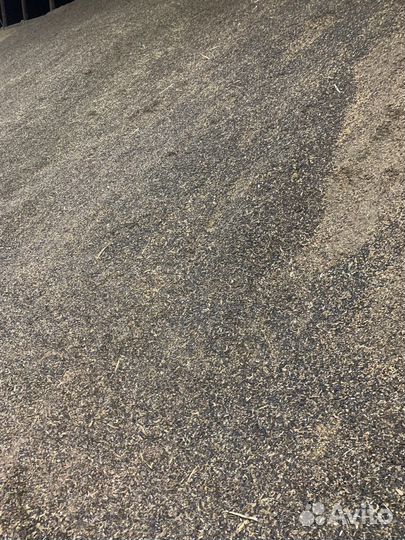 Зерно смеси