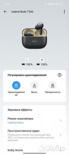 Наушники Realme buds t300