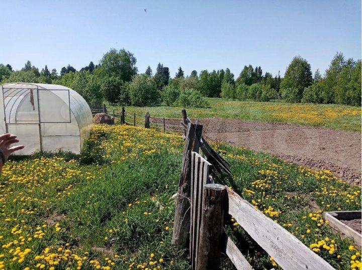 Дом 38,4 м² на участке 36 сот.