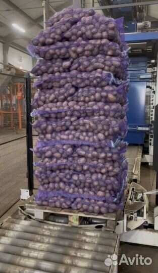 Картофель оптом