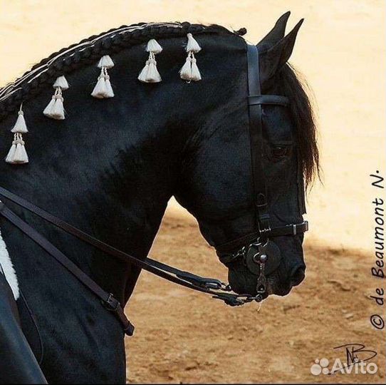 Москеро и барочное украшение для гривы