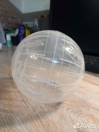 Прогулочный шар для грызунов