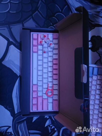 Red dragon fizz k617