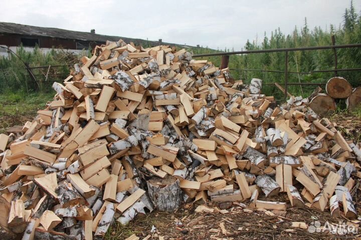 Продам дрова любые