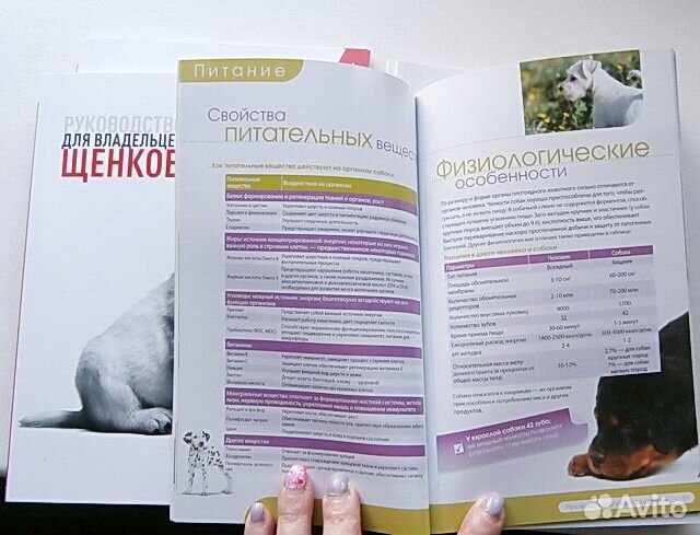 Ветпаспорта и руководства по уходу за щенком