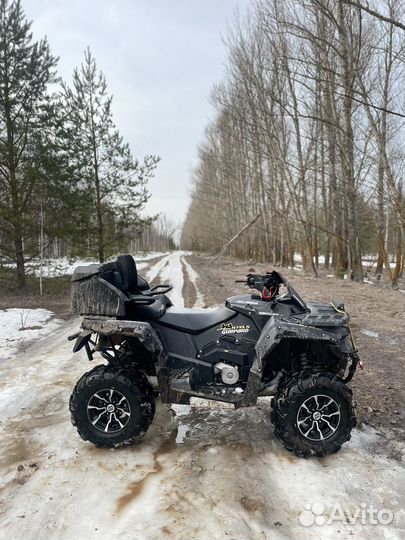 Стелс гепард 800