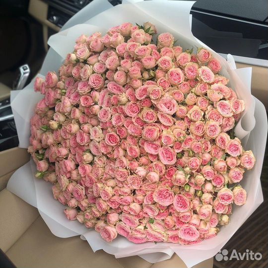 Голландский пионы/ Пионы,Пионовидные кустовые розы