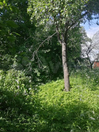 Дом 42 м² на участке 7 сот.