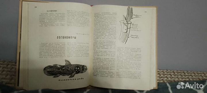 Хочу все знать