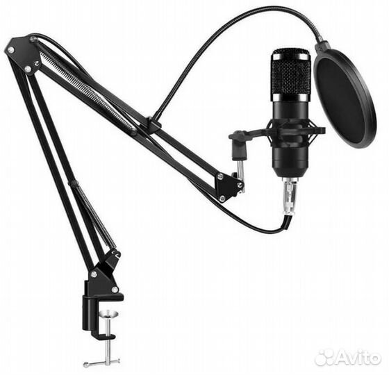 Профессиональный студийный микрофон BM-800