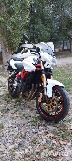 Stels Benelli 600