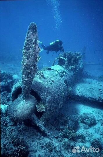 Чистка аквариумов и прудов любой сложности. Подбор