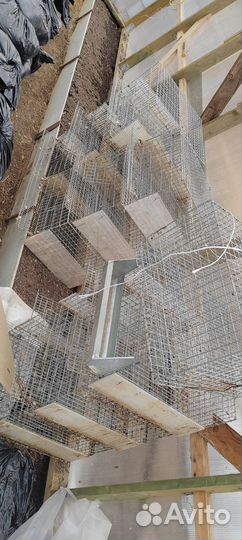 Клетки для перепелов бу