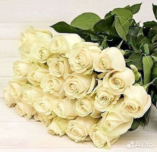 Розы Цветы Букеты 25 151 201 101 301 501 опт