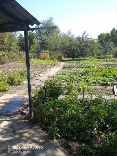 Дача 12 м² на участке 8,9 сот.