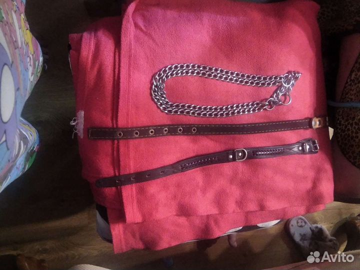 Ошейник для собак и поводок