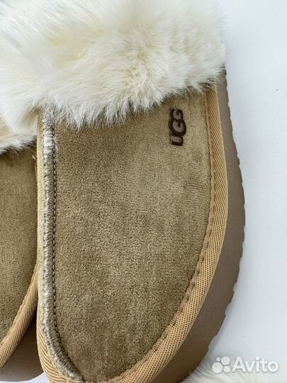 Ugg тапочки (угги) женские 38