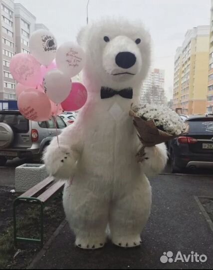 Аниматор белый медведь