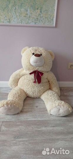 Плюшевые мишки