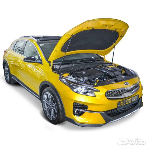 Газовые упоры Kia Ceed III 2018-2021 Хэтчбэк 5