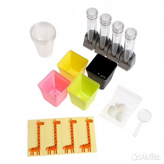 Набор для опытов 'Наука о растениях', 16 опытов