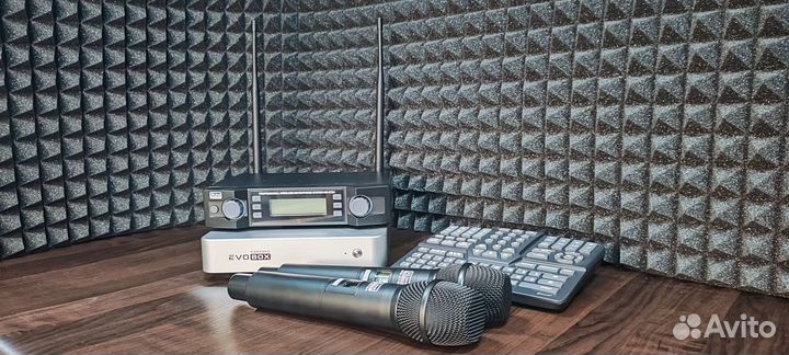 Караоке Evolution Evobox + микрофоны в подарок