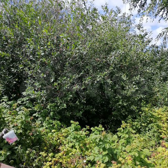 Дача 20 м² на участке 25 сот.