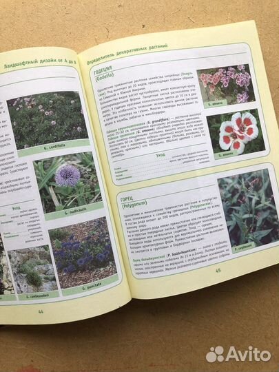 Ландшафтный дизайн от А до Я