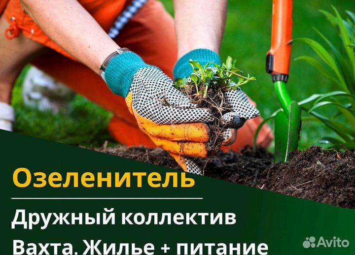 Озеленитель вахта 60/30 жилье питание