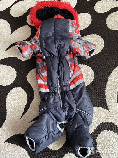 Одежда для маленьких пород собак