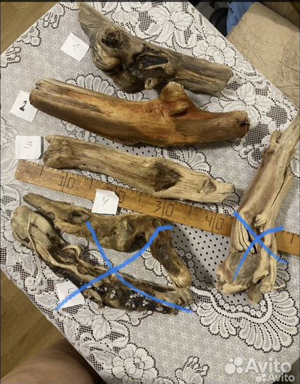 Дрифтвуд морские коряги