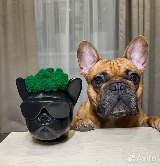 Статуэтка французский бульдог