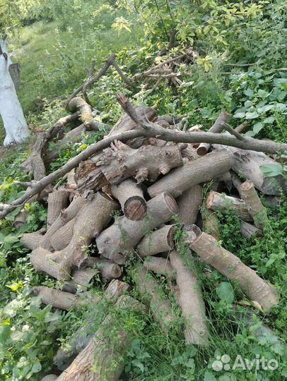 Дрова фруктовые