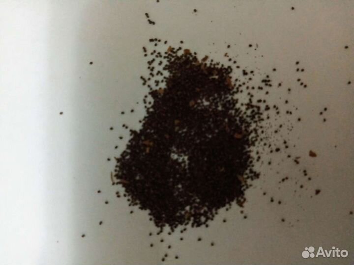 Семена табака