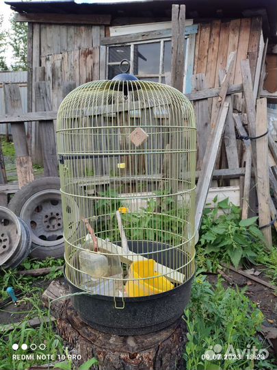 Клетка для птиц бу