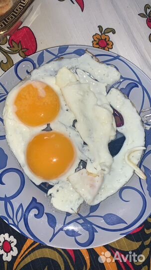 Яйца куриные домашние продажа