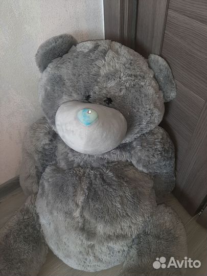 Мишка Тедди