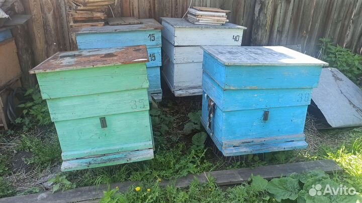 Улей для пчел бу