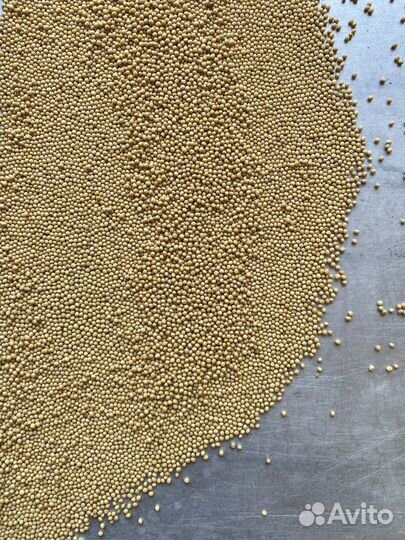 Белая горчица