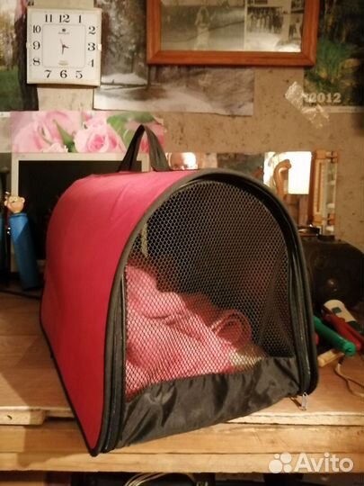 Контейнер для кота