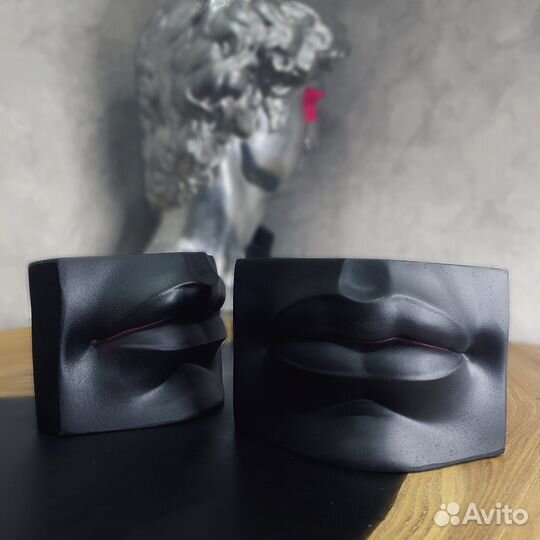 Кашпо-органайзер губы Давида