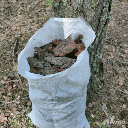 Мульча сосновая