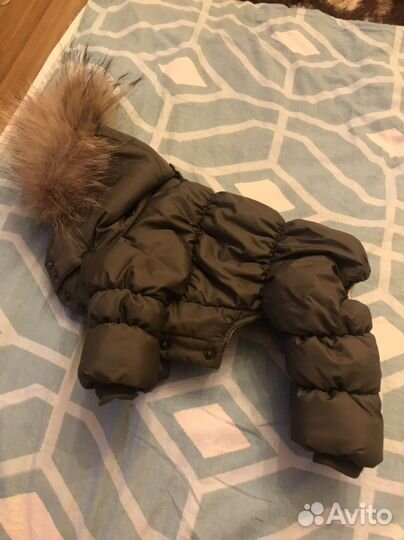 Зимний комбинезон для маленькой собачки